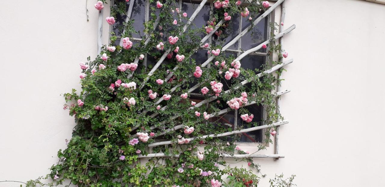 Disa Lodge دارلينغ المظهر الخارجي الصورة